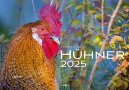 Hühner Kalender 2025 - J. -L. Klein, M. -L. Hubert