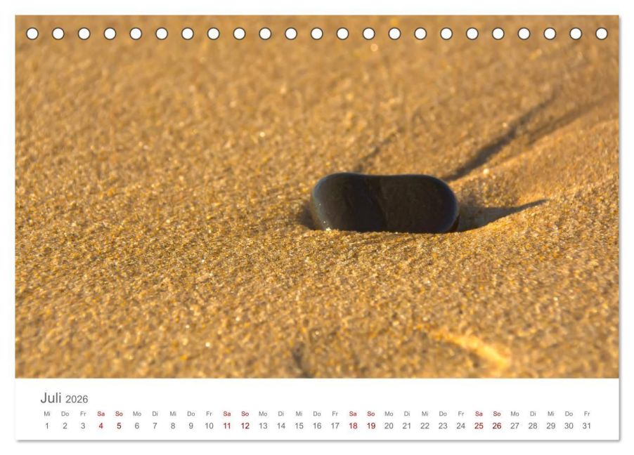 InsideView 12