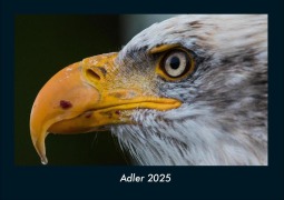 Cover-Bild zum Titel 'Adler 2025 Fotokalender DIN A4' von 'Tobias Becker'