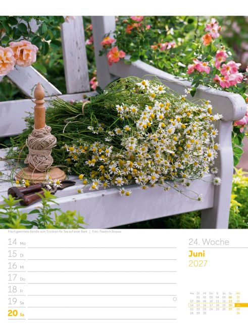 InsideView 28