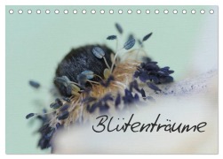Cover-Bild zum Titel 'Blütenträume (Tischkalender 2026 DIN A5 quer), CALVENDO Monatskalender' von 'Heidi Brausch'
