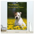Tender Fellows - Parson Russell Terrier (hochwertiger Premium Wandkalender 2025 DIN A2 hoch), Kunstdruck in Hochglanz - Maike Clüver