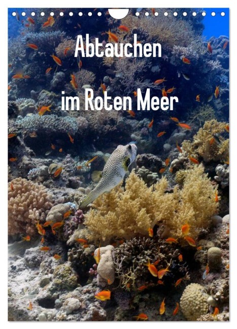 Abtauchen im Roten Meer (Wandkalender 2026 DIN A4 hoch), CALVENDO Monatskalender - Lars Eberschulz