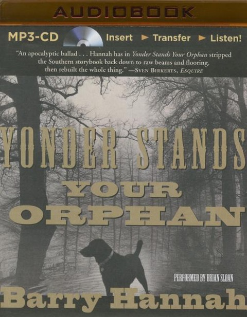 Yonder Stands Your Orphan - Barry Hannah