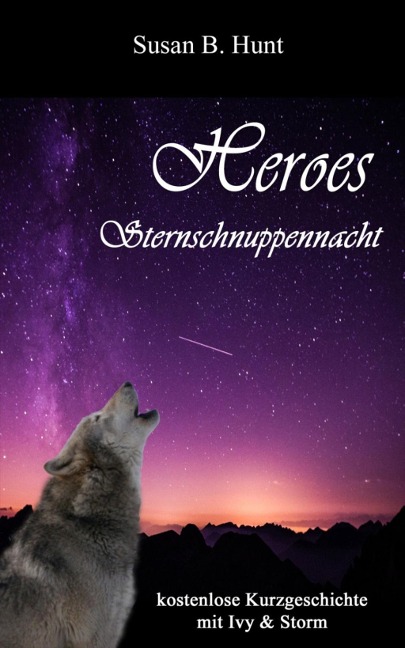 HEROES - Sternschnuppennacht - Susan B. Hunt