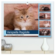 Cover-Bild zum Titel 'Verspielte Ragdolls -Sanfte Katzen in seidigem Haarkleid (hochwertiger Premium Wandkalender 2026 DIN A2 quer), Kunstdruck in Hochglanz' von 'Fotodesign Verena Scholze'