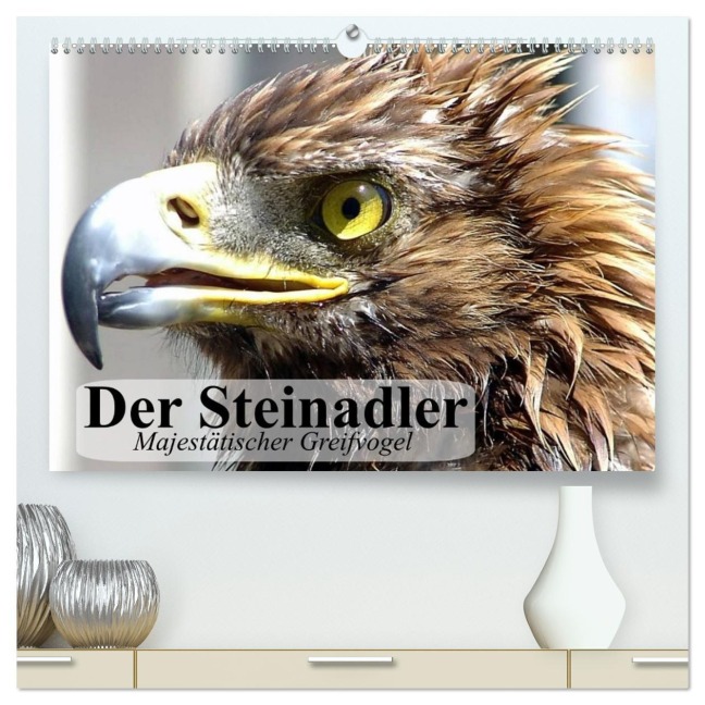 Der Steinadler. Majestätischer Greifvogel (hochwertiger Premium Wandkalender 2026 DIN A2 quer), Kunstdruck in Hochglanz - Elisabeth Stanzer
