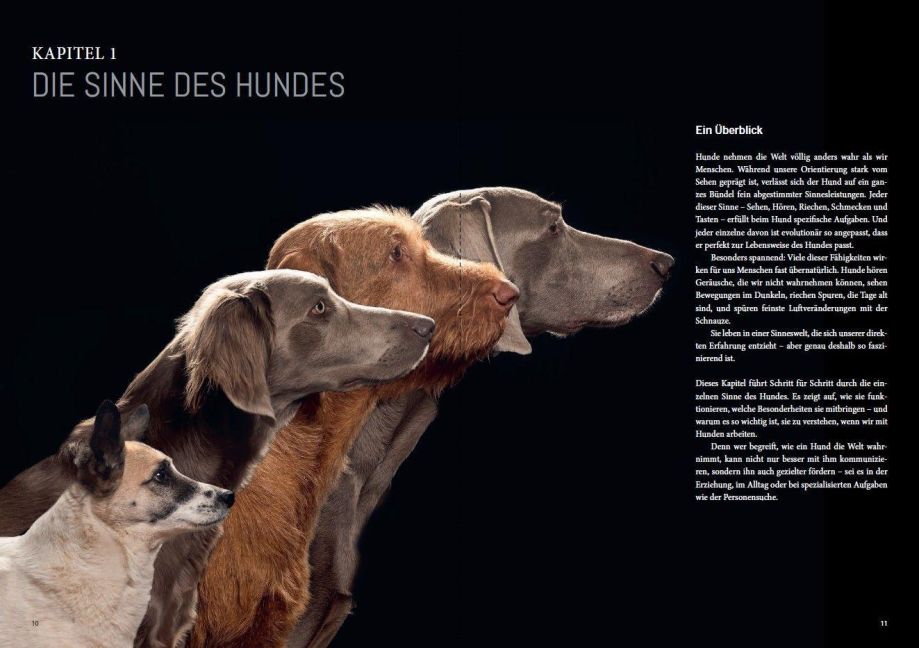 InsideView 2