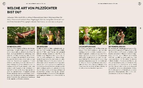 InsideView 3