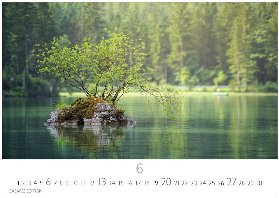 InsideView 6