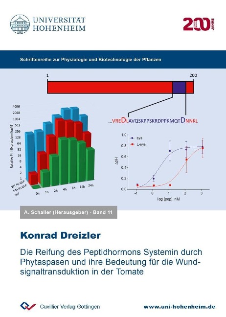 Die Reifung des Peptidhormons Systemin durch Phytaspasen und ihre Bedeutung für die Wundsignaltransduktion in der Tomate - 
