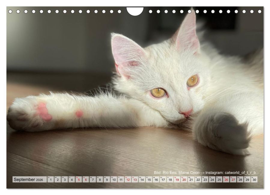 InsideView 14