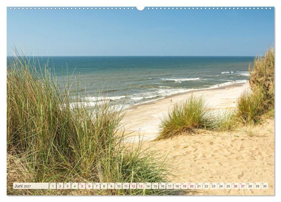 InsideView 11