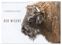 Cover-Bild zum Titel 'Emotionale Momente: Der Wisent. (Wandkalender 2026 DIN A4 quer), CALVENDO Monatskalender' von 'Ingo Gerlach'