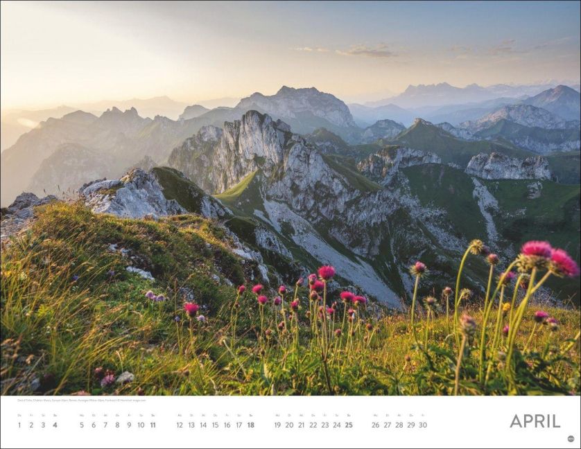InsideView 4