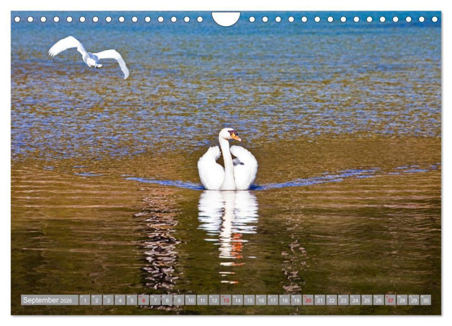 InsideView 14
