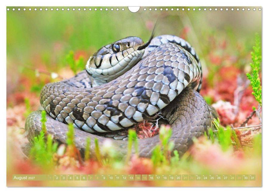 InsideView 13