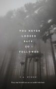 Cover-Bild zum Titel 'You Never Looked Back, So I Followed' von 'V. A. Wynne'