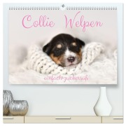 Cover-Bild zum Titel 'Collie Welpen einfach zuckersüß (hochwertiger Premium Wandkalender 2026 DIN A2 quer), Kunstdruck in Hochglanz' von 'Yvonne Janetzek'