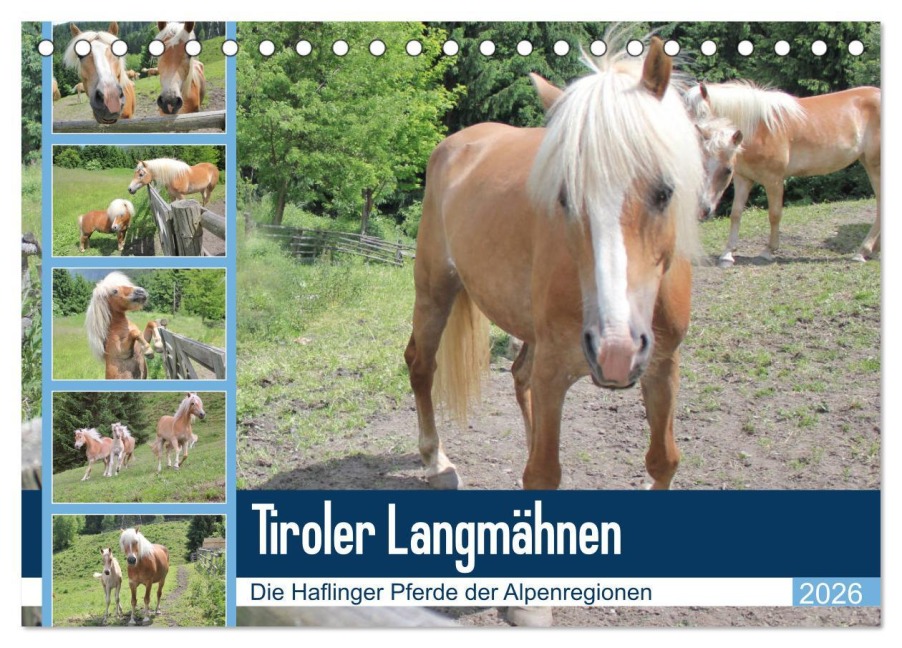 Tiroler Langmähnen (Tischkalender 2026 DIN A5 quer), CALVENDO Monatskalender - Katrin Lantzsch