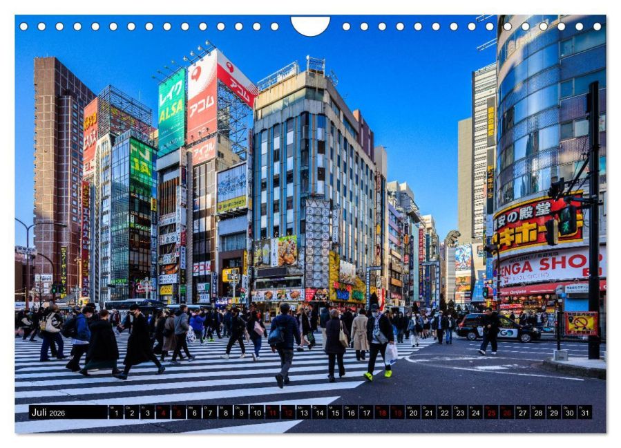 InsideView 12
