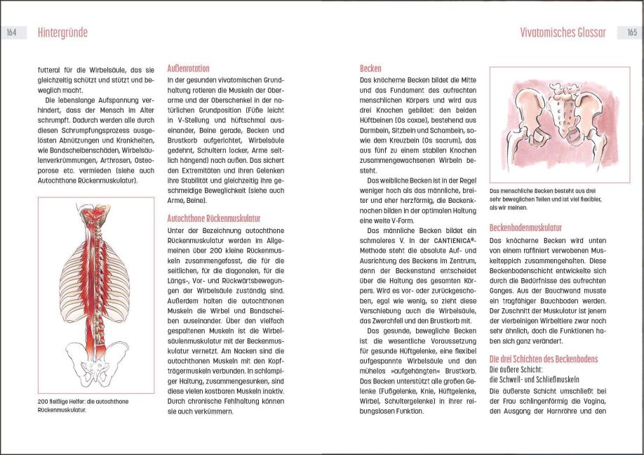 InsideView 7