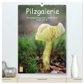 Pilzgalerie - Faszinierende Pilzaufnahmen aus der Region Rheinland-Pfalz (hochwertiger Premium Wandkalender 2024 DIN A2 hoch), Kunstdruck in Hochglanz - Beate Wurster