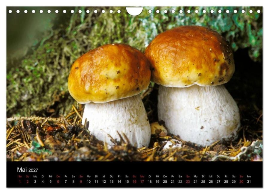 InsideView 10