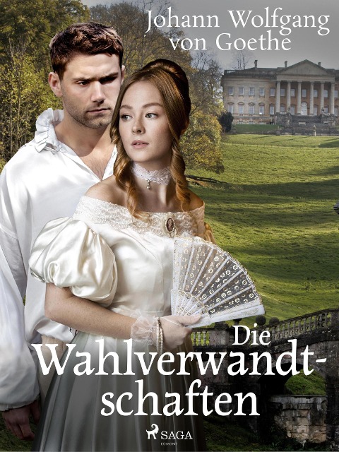 Die Wahlverwandtschaften - Johann Wolfgang von Goethe