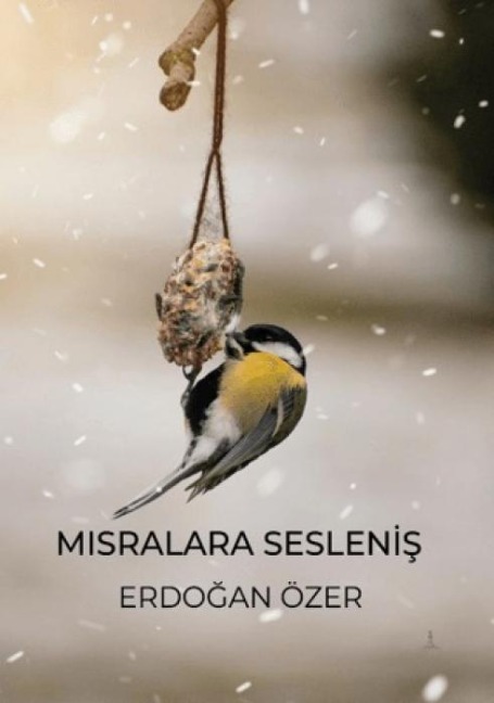 Misralara Seslenis - Erdogan Özer