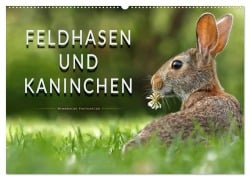 Feldhasen und Kaninchen (Wandkalender 2026 DIN A2 quer), CALVENDO Monatskalender - Peter Roder