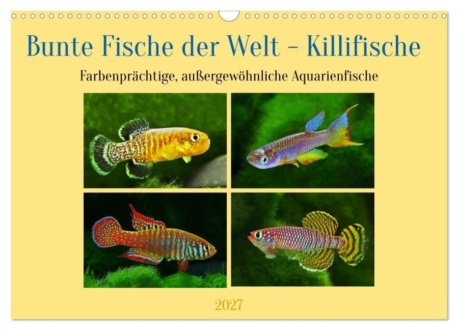 Bunte Fische der Welt - Killifische (Wandkalender 2027 DIN A3 quer), CALVENDO Monatskalender - Rudolf Pohlmann