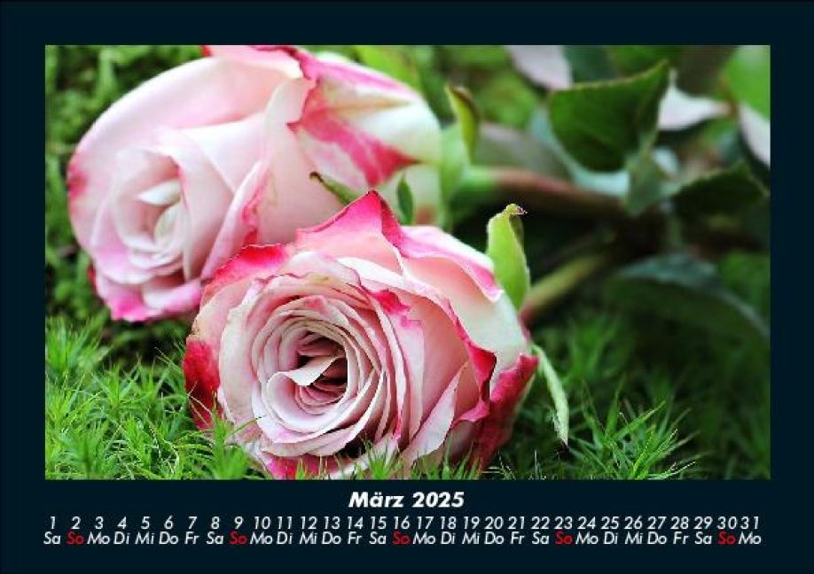 InsideView 7