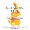 Stealing Fire: How Silicon Valley, the Navy SEALs, and Maverick Scientists Are Revolutionizing the Way We Live and Work - Steven Kotler, Jamie Wheal
