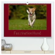 Cover-Bild zum Titel 'Faszination Hund (hochwertiger Premium Wandkalender 2026 DIN A2 quer), Kunstdruck in Hochglanz' von 'Tierfotografie Bischof Bischof'