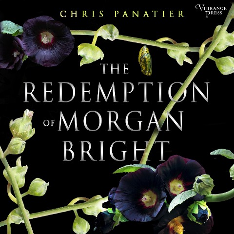 The Redemption of Morgan Bright - Chris Panatier