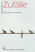 Cover-Bild zum Titel 'Zufälle' von 'Brigitte Werner'