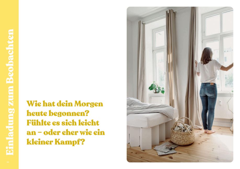 InsideView 2