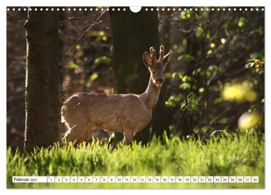 InsideView 7