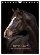 Pferde 2026 - Charakterköpfe vor der Kamera (Wandkalender 2026 DIN A4 hoch), CALVENDO Monatskalender - Paula Müller