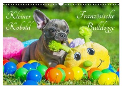 Cover-Bild zum Titel 'Kleiner Kobold Französische Bulldogge (Wandkalender 2026 DIN A3 quer), CALVENDO Monatskalender' von 'Sigrid Starick'