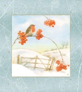 Cover-Bild zum Titel 'Wandkalender Wintermorgen mit Rotkehlchen' von ''