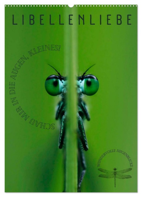 LibellenLiebe - Schau mir in die Augen, Kleines! (Wandkalender 2026 DIN A2 hoch), CALVENDO Monatskalender - Kirsten d'Angelo - soulimages