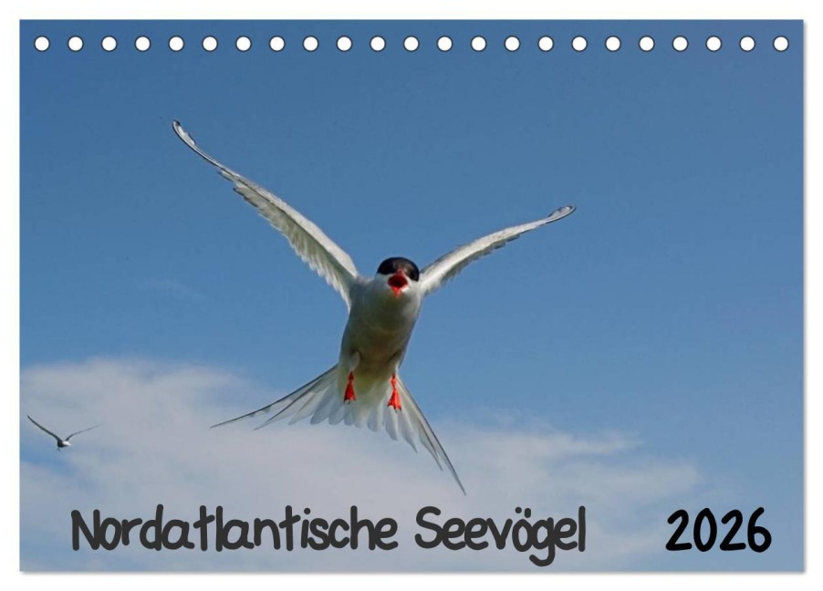Nordatlantische Seevögel (Tischkalender 2026 DIN A5 quer), CALVENDO Monatskalender - Gerald Wolf