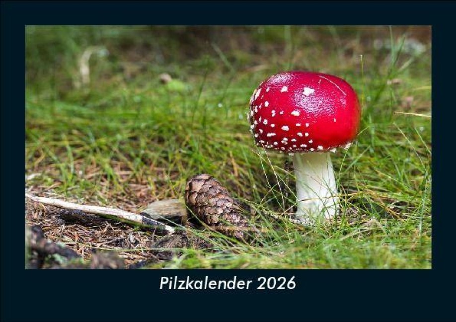 Pilzkalender 2026 Fotokalender DIN A5 - Tobias Becker