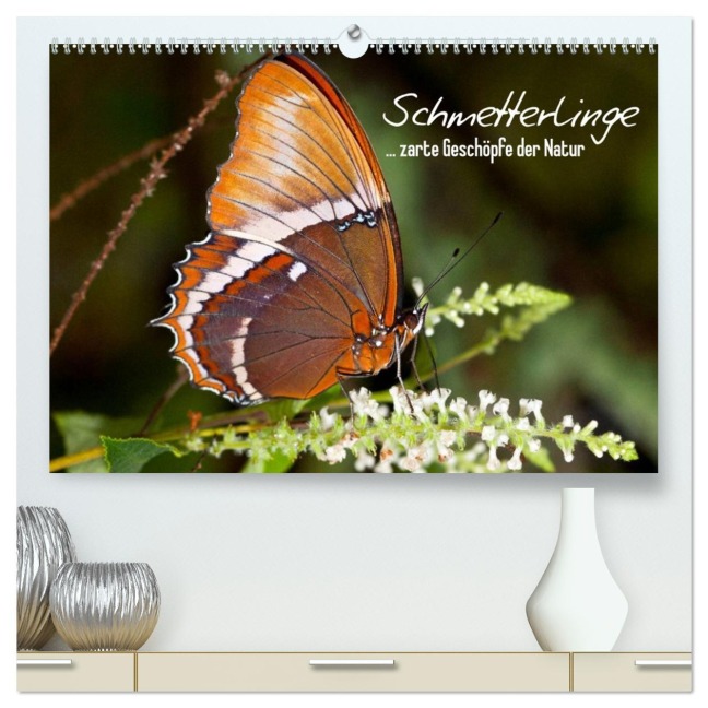 Schmetterlinge - zarte Geschöpfe der Natur (hochwertiger Premium Wandkalender 2026 DIN A2 quer), Kunstdruck in Hochglanz - Melanie Viola