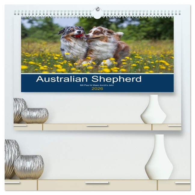 Australian Shepherd 2026 (hochwertiger Premium Wandkalender 2026 DIN A2 quer), Kunstdruck in Hochglanz - Annett Mirsberger