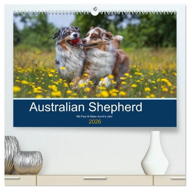 Australian Shepherd 2026 (hochwertiger Premium Wandkalender 2026 DIN A2 quer), Kunstdruck in Hochglanz - Annett Mirsberger