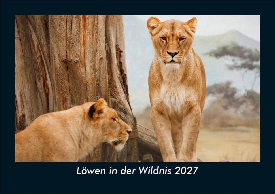 Löwen in der Wildnis 2027 Fotokalender DIN A5 - Tobias Schmitt, Kevin Heber