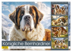 Königliche Bernhardiner. Die sanften Riesen der Alpen (Wandkalender 2026 DIN A3 quer), CALVENDO Monatskalender - Rose Hurley